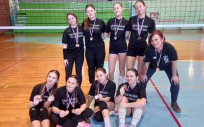 Odbojkaška ekipa naše škole plasirala se na županijsko natjecanje